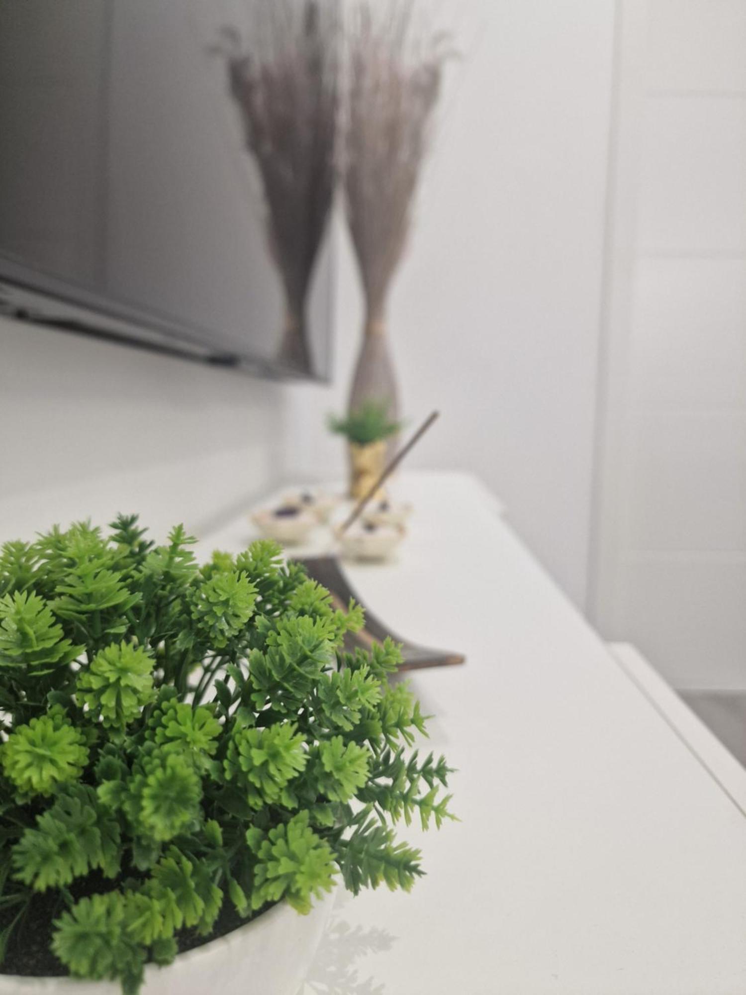 Barcelona, Apartamento De 1 Habitacion Apartment โอสปิตาเล็ต เดอ โยเบรกัต ภายนอก รูปภาพ